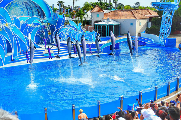 Sea World