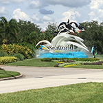 Visit Sea World, Florida StayCation